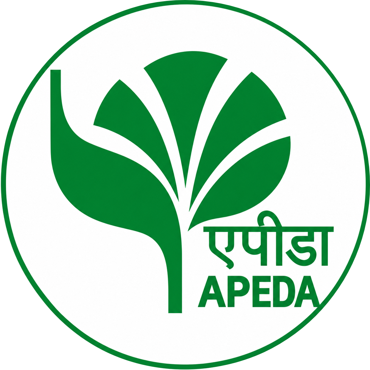 APEDA logo
